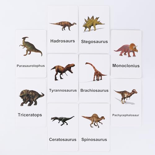 MEROCO Montessori Dinosaur Flash Cards Matching Game Kids Preschool - style: Dinosaur