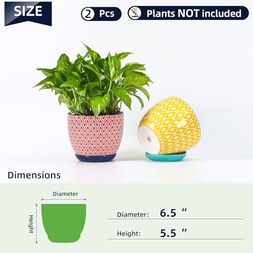 Selamica Ceramica Plant Pots, 6.5 Inch Flower Pots Set of 2 with Drainage Holes & Saucer, Planters for Indoor Plants, Home Decor, Assorted Colors - color: Assorted Colors, size: 6.5 Inch, Set of 2