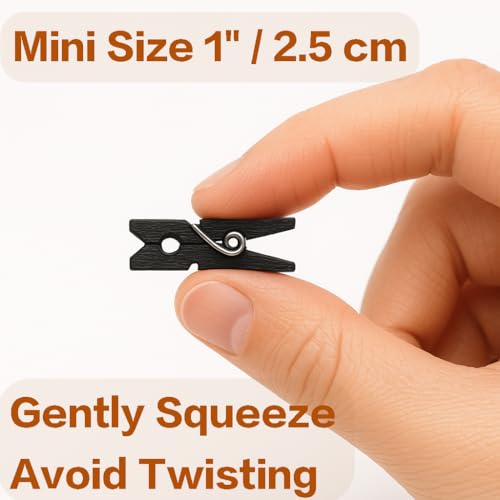 LWR CRAFTS Wooden Mini Clothespins 100 Per Pack 1" 2.5cm (Black) - color: Black