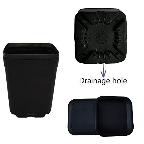 OJYUDD 24 Pack 3 Inch Black Nursery Pot Flower Pots Square Plastic Plant Pot Plastic Starter Pots with Saucer Basket Indoor Outdoor for Your Room,Garden Office and Balcony Decor - size: 24 Pack Black