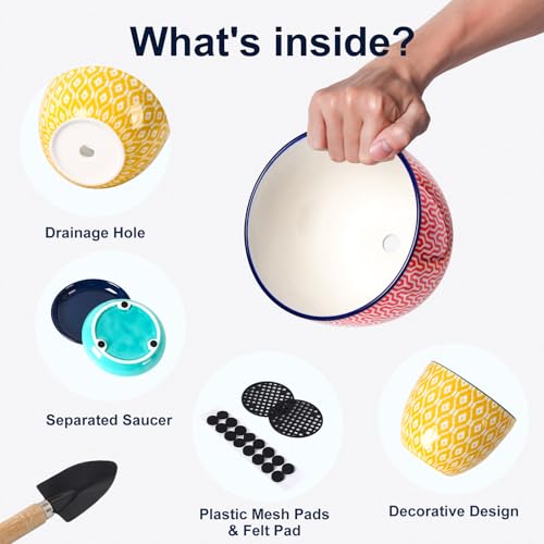 Selamica Ceramica Plant Pots, 6.5 Inch Flower Pots Set of 2 with Drainage Holes & Saucer, Planters for Indoor Plants, Home Decor, Assorted Colors - color: Assorted Colors, size: 6.5 Inch, Set of 2