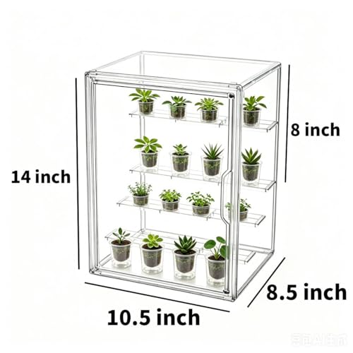 Mini Greenhouse Indoor, Clear Small Green House with Magnetic Door, Stackable Succulent Seed Starting Kit Children Nature Observation Station - size: 14"x 8.5"x 10.5"