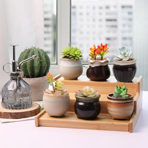 T4U Mini Ceramic Succulent Pots, Small Gift Planters, Retro Decor Set of 12 - color: Flowing Glazed, size: Pack of 12