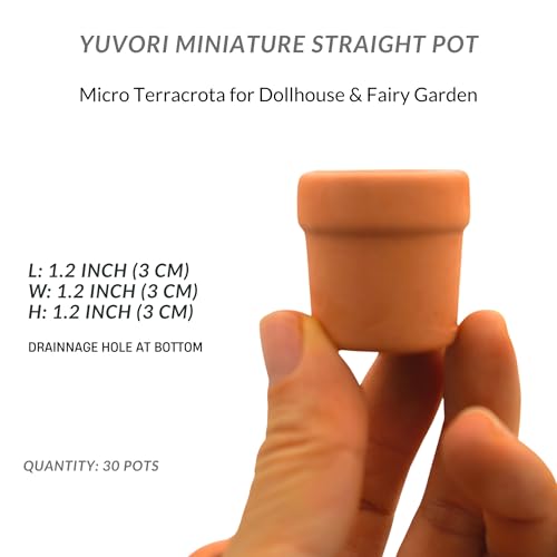 Mini Terracotta Pots – Small Clay Flower Pots for Succulents, Cactus, DIY Crafts, Fairy Garden, School Projects, Mini Planters, Set of 30 (Straight Cylinder, 1.2 Inch) - size: 1.2 Inch, style: Straight Cylinder