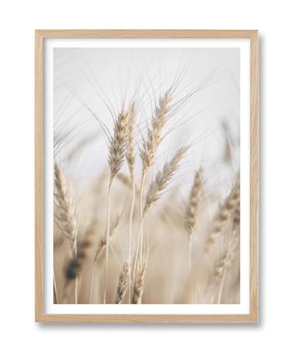 HesenDot Farmhouse Wheat Field Natural OAK Wood Framed Wall Art, 12x16in - color: Framed Harvest of Wheat