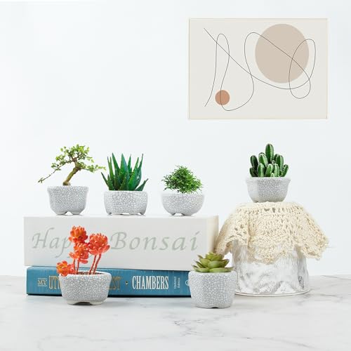 Bonsai Planter 1.8 inch (4.5cm) Mini Succulent Glazed Pots Set of 18 Gray White - color: Gray White