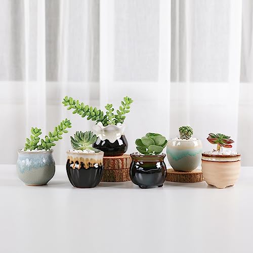 T4U Mini Ceramic Succulent Pots, Small Gift Planters, Retro Decor Set of 6 - color: Flowing Glazed, size: Pack of 6