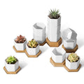 T4U Small Succulent Pots 12 Pack, Mini Flower Planters with Drainage White - color: Hexagon