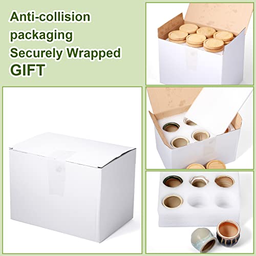 Remerry 12 Pcs Ceramic Succulent Pots 2.5 Inch with Bamboo Trays Small Pots - size: 2.5 Inch