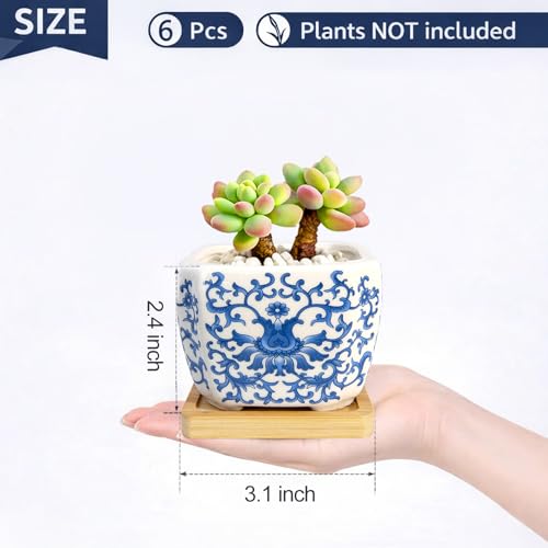Succulent Pots - 3.1" Succulent Planters with Drainage and Bamboo Trays, Ceramic Flower Pots for Indoor Plants, Small Succulent Pots for Cactus, Home Office Desk Decor, Set of 6 - color: Blue-porcelain-square