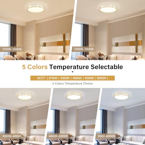 Modern Flush Mount Ceiling Light, White Gold Dimmable Ceiling Light Fixture - color: White and Gold, size: 16.5in