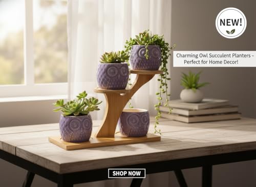 Blisse Wood Owl Planter Set for Home Décor - Purple Ceramic Owl Pots with Wooden Stand, Cute Indoor Succulent & Tabletop Planters for Shelves, Windowsills & Gifts - color: Purple