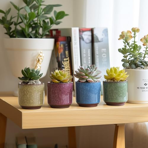 T4U Mini Succulent Pots, Small Ceramic Planters, Retro Gift Set of 12 - size: 2.4"*2.4"