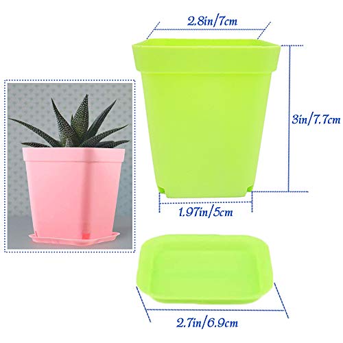 24Pack 3 Inch Plastic Plant Pots,Square Seedling Nursery Pots Succulent Flower Planter Container with Saucers for Garden,Room,Office,Balcony Decor,Multicolor