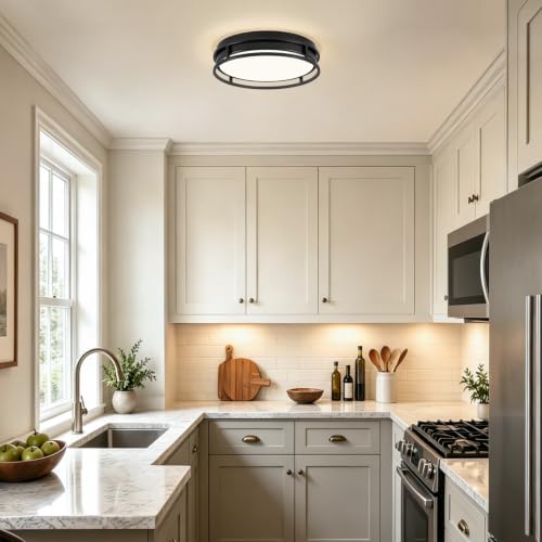 Modern Flush Mount Ceiling Light, Black Dimmable Ceiling Light Fixture - color: Black, size: 12.6in