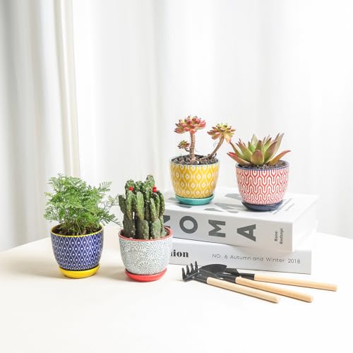 Selamica Ceramic Succulent Pots, 3.5 Inch Small Plant Pots for Indoor Plants Cactus Herbs, Succulent Planters with Drainage Holes & Saucers, Home Decor, Set of 6, Assorted Colors - color: Assorted Colors, size: 3.5 Inch, Set of 6