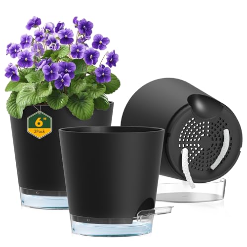 Meowell 6 inch Self Watering Pots for Indoor Outdoor Plants, 3 Pack Flower Plant Pots with Drainage Holes and Clear Reservoirs, Visible Water Level, Plastic Planters with Wicking Rope, Black - color: Black, size: 6in 3pcs