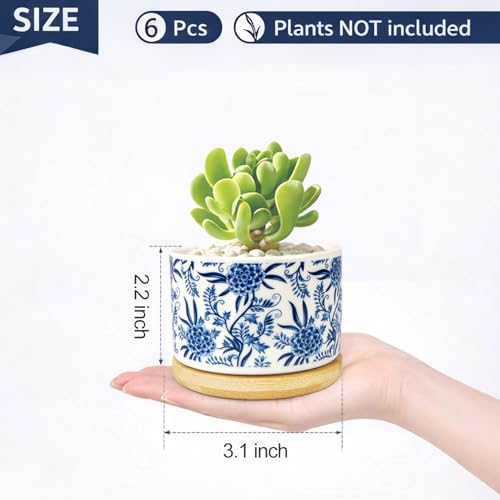 Succulent Pots, 6PCS Small Pots for Plants with Drainage & Saucers, 3.1 Inch Ceramic Flower Planters for Indoor Plants, Decorative Planters for Succulent Cactus, Home, Office, Desk - color: Blue-porcelain-round
