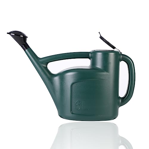 1.5 Gallon Watering Can for Outdoor Plants, Large Plastic Water Can with Long Spout, Lid and Detachable Sprinkler Head, Lightweight Watering Pot for Indoor Houseplants and Garden Flower - 6L - size: 6L