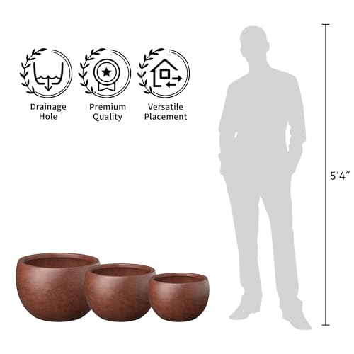 Kante Large Round Bowl Rusty Concrete Planter 19.9" Dia, Outdoor - color: Rusty, size: 19.9" d