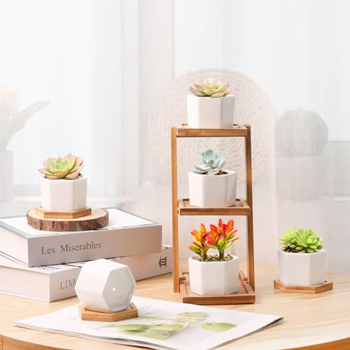 T4U Small Succulent Pots 12 Pack, Mini Flower Planters with Drainage White - color: Hexagon