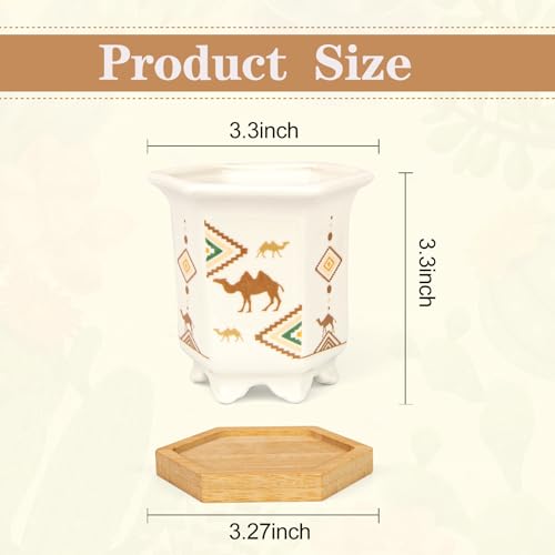 3.3 Inch Small Succulent Pots with Drainage and Bamboo Tray Set of 6 - color: Mid-e-hexagon-tall