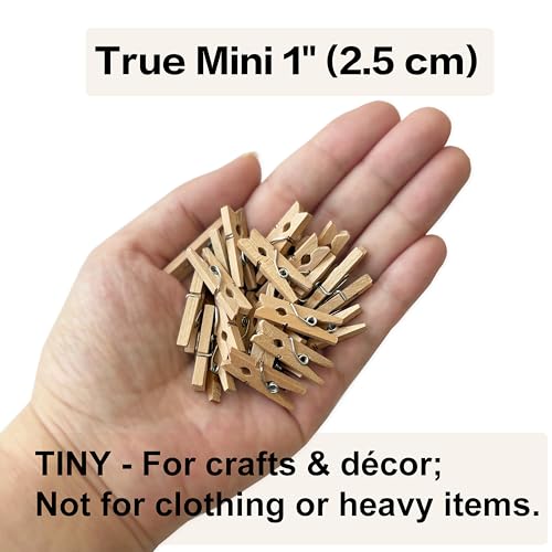 LWR CRAFTS Wooden Mini Clothespins 100 Per Pack 1" 2.5cm (Natural) - color: Natural