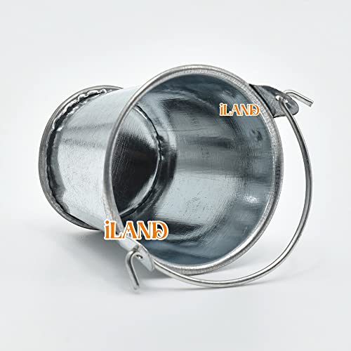 iland Dollhouse Accessories on 1:12 Scale, Gardening Tools Pack of Mini Metal Pail, Watering Pot and Hose Fits Fairy Garden