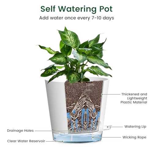 Meowell 6 inch Self Watering Pots for Indoor Outdoor Plants, 6 Pack Flower Plant Pots with Drainage Holes and Clear Reservoirs, Visible Water Level, Plastic Planters with Wicking Rope, White - color: White, size: 6in 6pcs