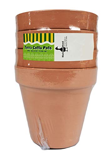 Black Duck Brand Set of 16 Terra Cot Pot Planter 2-1/2" x 2-1/2" Lawn & Garden Mini Flower Pots - 2.5" x 2.5" Terra Cotta (16)