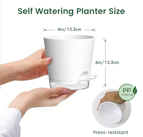 Meowell 6 inch Self Watering Pots for Indoor Outdoor Plants, 6 Pack Flower Plant Pots with Drainage Holes and Clear Reservoirs, Visible Water Level, Plastic Planters with Wicking Rope, White - color: White, size: 6in 6pcs