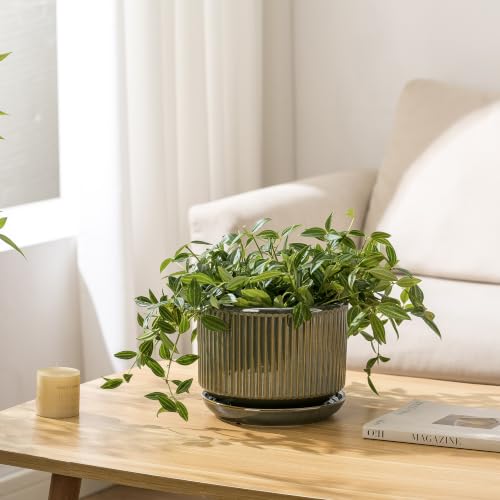 SURE YUESI Ceramic Plant Flower Pots for Indoor Plant, 4.33"+5.5"+6.88", Set of 3, Orchid Pot with Drainage Hole, Saucer and Hole Mesh Pad for Succulents, Herbs and African Violet (Light Green) - color: Light Green