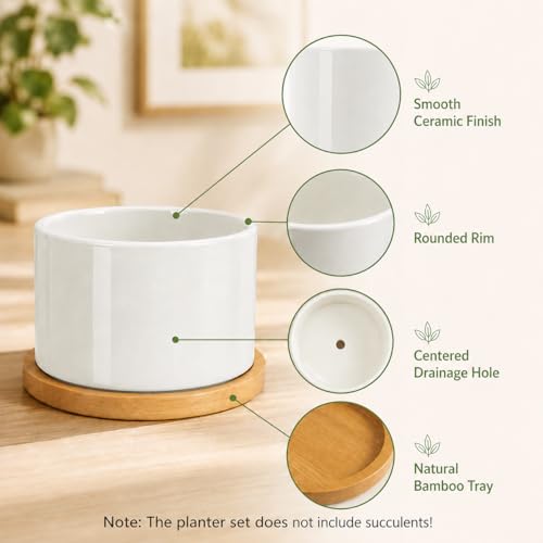 ZOUTOG 4 Pack 3.1" Ceramic Succulent Pots,White Planter with Drainage Tray - size: 4 Pack 3.1"