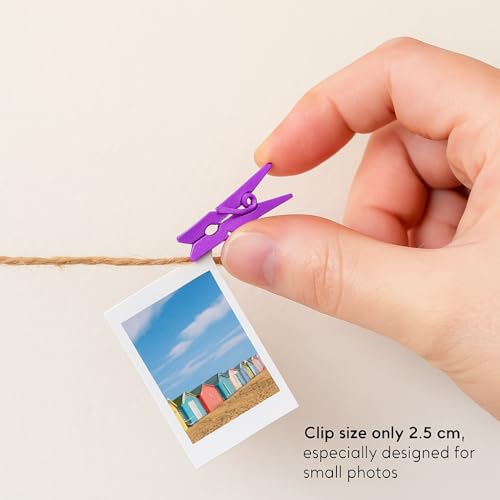 LWR CRAFTS Wooden Mini Clothespins 100 Per Pack 1" 2.5cm (Purple) - color: Purple