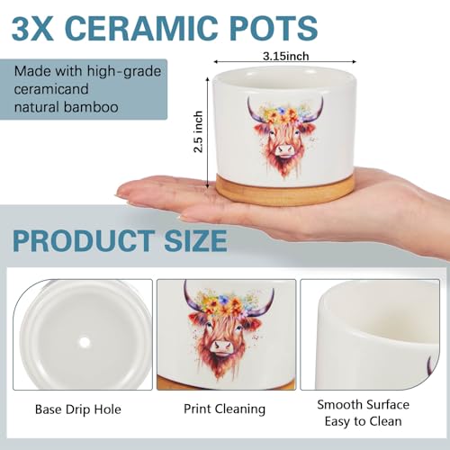 Jingmore 3 Pcs Highland Cow Succulent Planter, Ceramic Gift for Women - style: Highland Cow