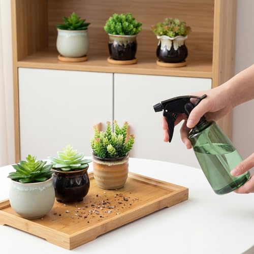 Remerry 12 Pcs Ceramic Succulent Pots with Drainage 3.5 Inch Bamboo Tray - size: 3.5 Inch