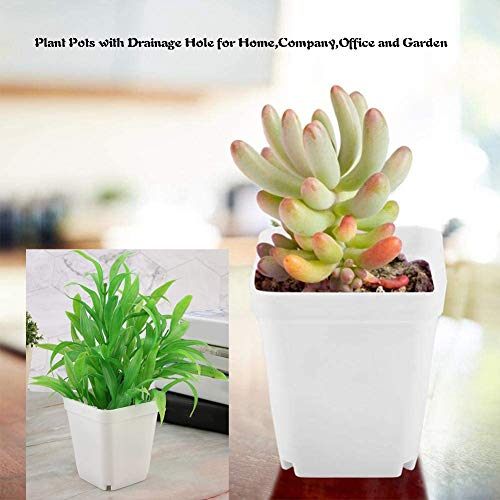 24 Pack 3 Inch White Square Plastic Plant Pots with Saucers,Nursery Seedling Pots with Drainage Hole,Small Planter Containers for Succulents,Flowers,Indoor Outdoor Garden,Home Office Balcony Decor - size: 24 Pack White