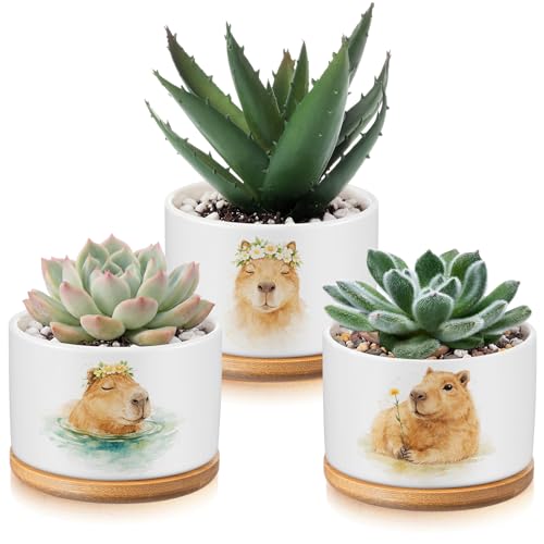 Jingmore 3 Pcs Capybara Decor Succulent Planter, Ceramic Gift for Women - style: Capybara