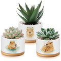 Jingmore 3 Pcs Capybara Decor Succulent Planter, Ceramic Gift for Women - style: Capybara