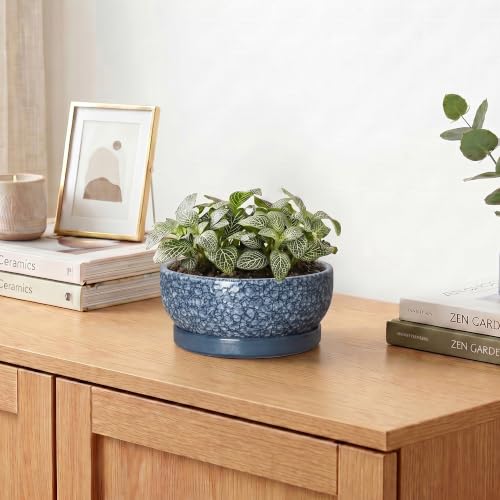 Ceramic Succulent Pots, 6 Inch Bonsai Tree Pot with Tray, Scale Blue - color: Scale Blue, size: 6 Inch