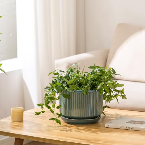 SURE YUESI Ceramic Plant Flower Pots for Indoor Plant, 4.33"+5.5"+6.88", Set of 3, Orchid Pot with Drainage Hole, Saucer and Hole Mesh Pad for Succulents, Herbs and African Violet (Light Blue) - color: Light Blue