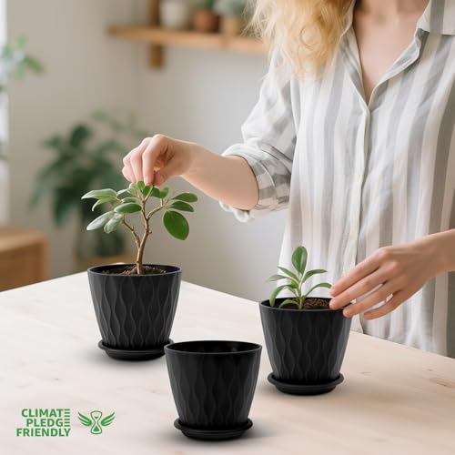 YNNICO 4 inch Plant Pots for Indoor with Drainage Holes and Tray Saucers - color: Black, size: 4 inch