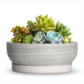 6 Inch Ceramic Succulent Planters with Saucer, Brushed Grey - color: Brushed Grey, size: 6 Inch