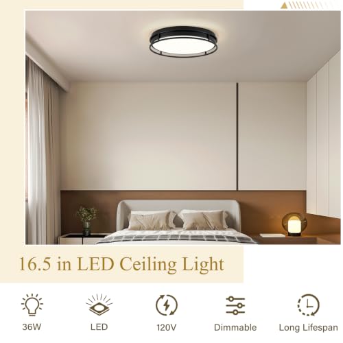 Modern Flush Mount Ceiling Light, Black Dimmable Ceiling Light Fixture - color: Black, size: 16.5in