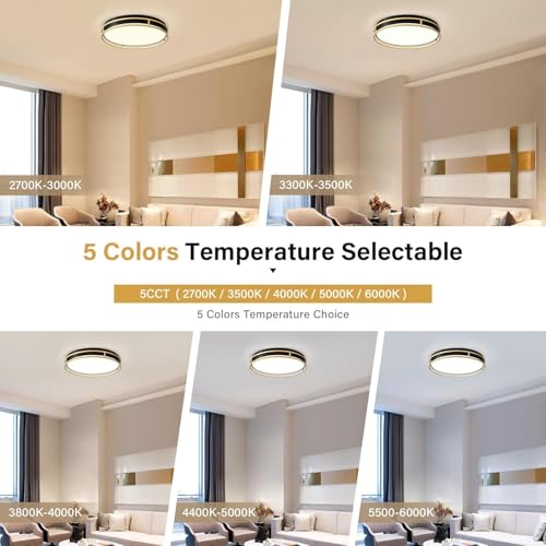 Modern Flush Mount Ceiling Light, Black Gold Dimmable Ceiling Light Fixture - color: Black and Gold, size: 16.5in