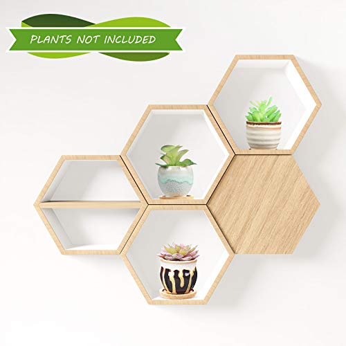 BBTO 6 Set Mini Succulent Pots with Drainage and Bamboo Tray 2.9 x 3.1in
