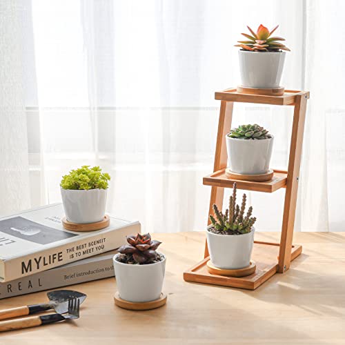 T4U Small Succulent Pots 12 Pack, Mini Flower Planters with Drainage White - color: Round