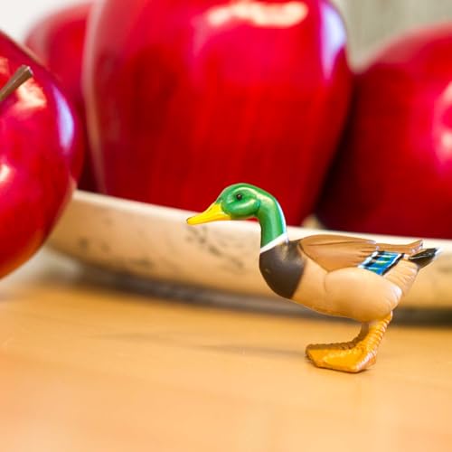 Safari Ltd. Mallard Duck Figurine - Hand-Painted, Realistic 3" Model Figure - Fun Educational Toy for Boys, Girls & Kids Ages 3+