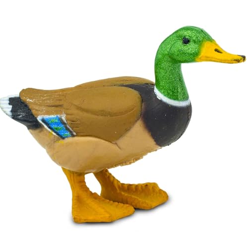 Safari Ltd. Mallard Duck Figurine - Hand-Painted, Realistic 3" Model Figure - Fun Educational Toy for Boys, Girls & Kids Ages 3+