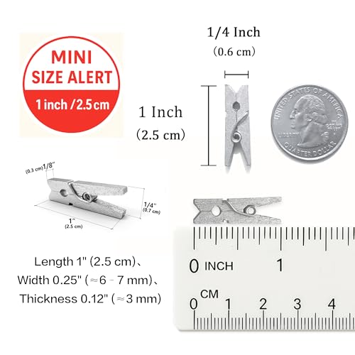 LWR CRAFTS Wooden Mini Clothespins 100 Per Pack 1" 2.5cm (Silver) - color: Silver